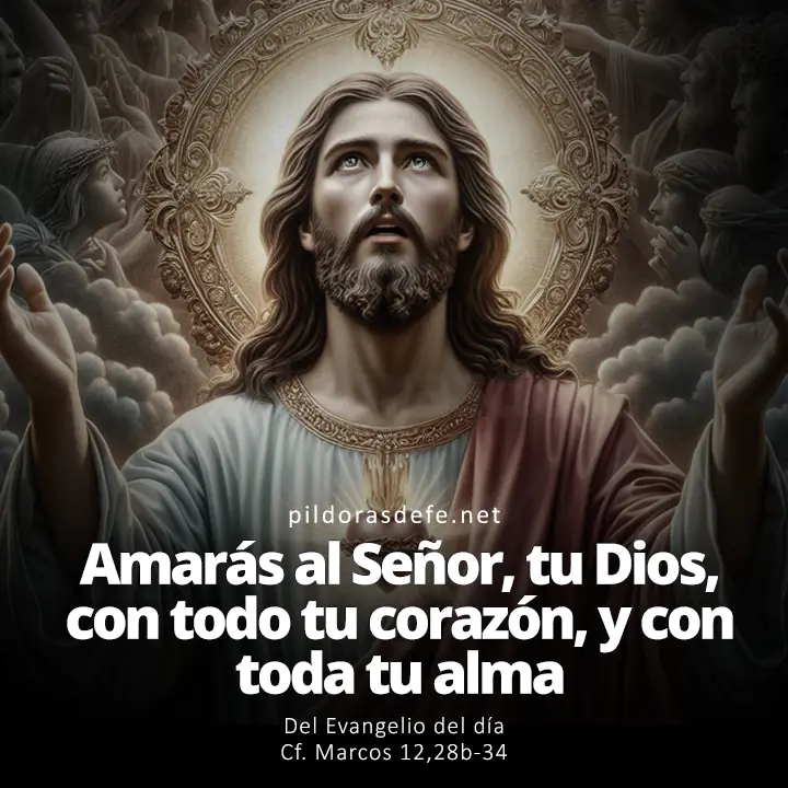 Evangelio del día, Marcos 12,28b-34: Amarás al Señor, tu Dios, con todo tu corazón, y con toda tu alma, con todo tu espíritu, y con todas tus fuerzas