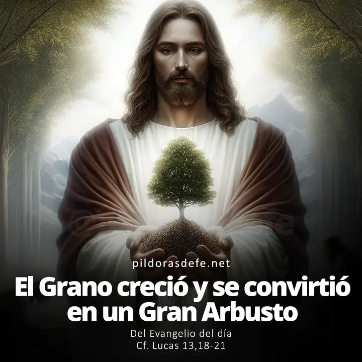 Evangelio del día, Lucas 13,18-21: El Grano creció y se convirtió en un Gran Arbusto