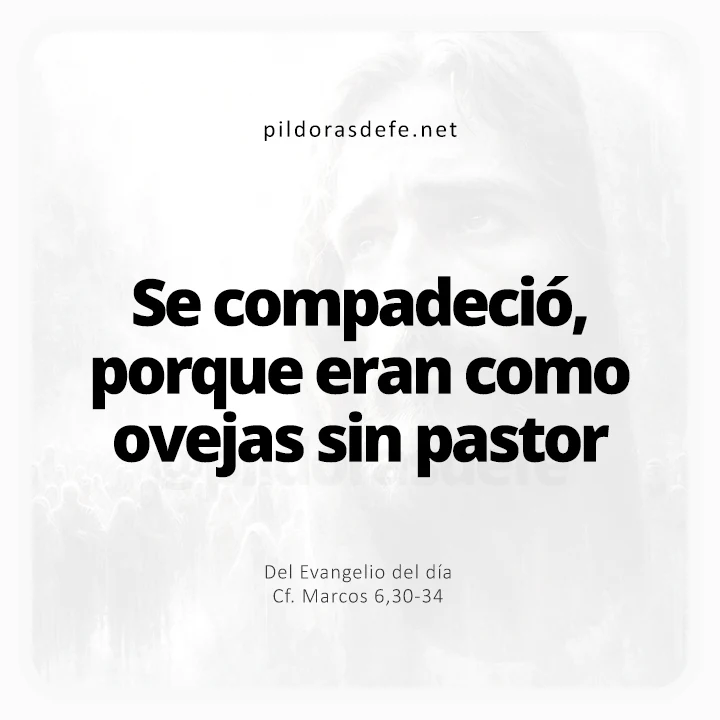 Evangelio de hoy Marcos 6,30-34: Se compadeció de ellas, porque eran como ovejas sin pastor