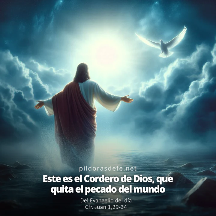 Evangelio de hoy (Juan 1,29-34): He aquí al Cordero de Dios que quita el pecado del mundo