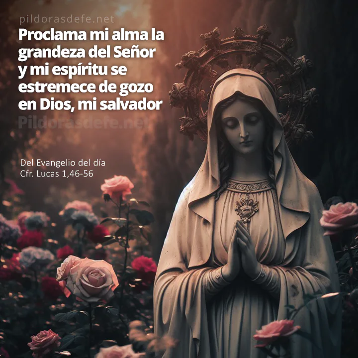 Evangelio de hoy (Lucas 1,46-56): Proclama mi alma la grandeza del Señor