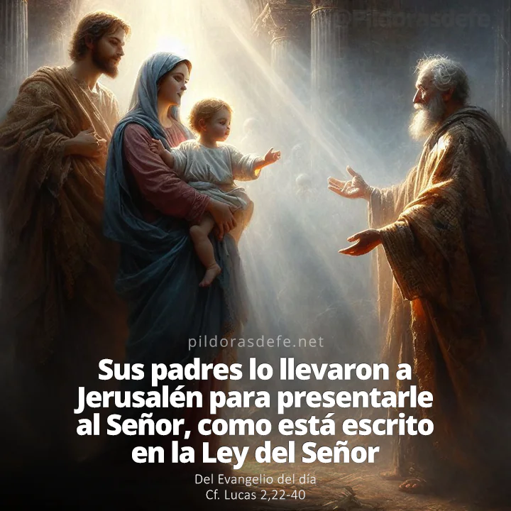 Evangelio de hoy (Lucas 2,22-40): Llevaron a Jesús al Jerusalén para presentarlo al Templo del Señor