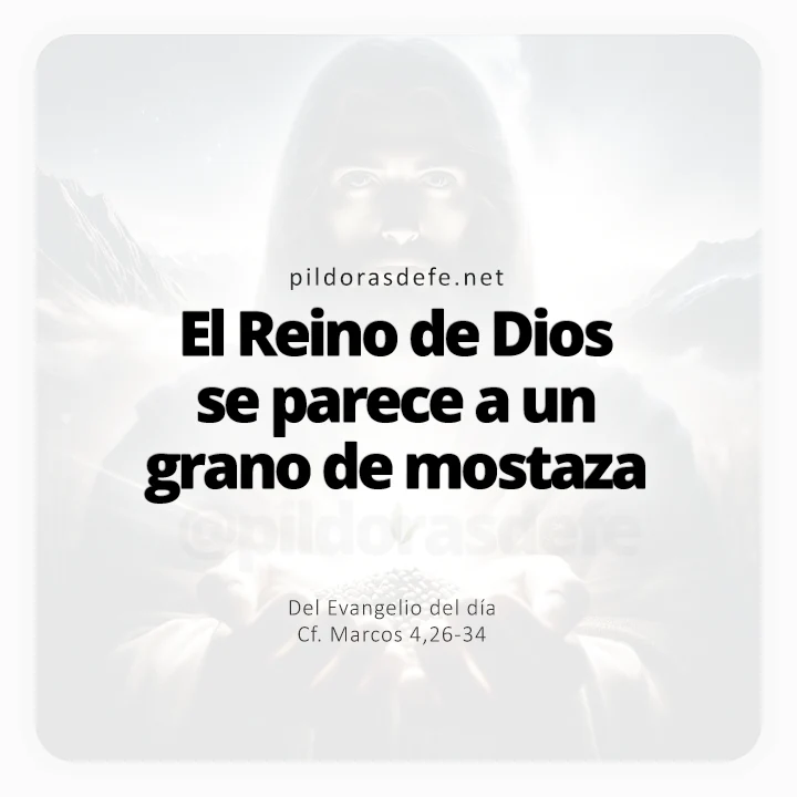 Evangelio de hoy Marcos 4,26-34: El Reino de Dios parece un grano de mostaza