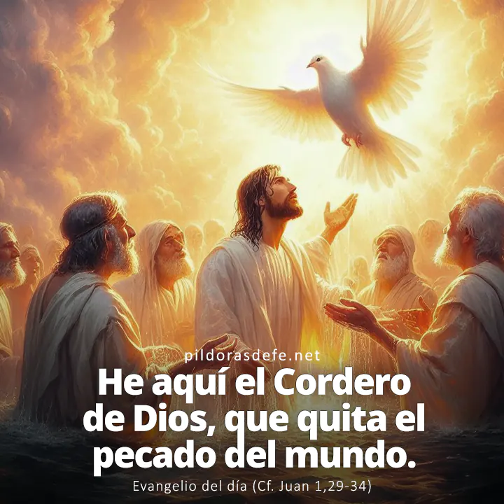 Evangelio del día, Juan 1,29-34: Este es el Cordero de Dios, que quita el pecado del mundo.