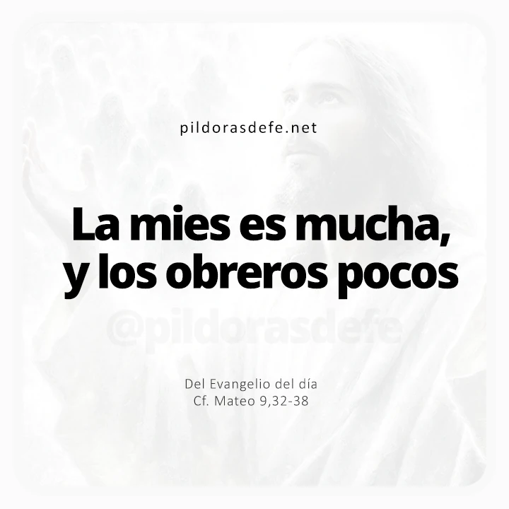 Evangelio de hoy Mateo 9,32-38: La Mies es mucha pero los trabajadores son pocos