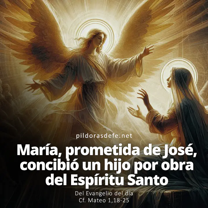 Evangelio del día, Mateo 1,18-25: María, prometida de José, concibió un hijo por obra del Espíritu Santo