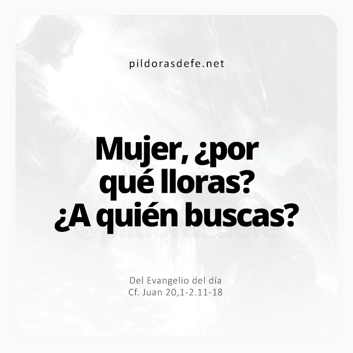 Evangelio de hoy Juan 20,1-2.11-18: Mujer, ¿por qué lloras?, ¿a quién buscas?