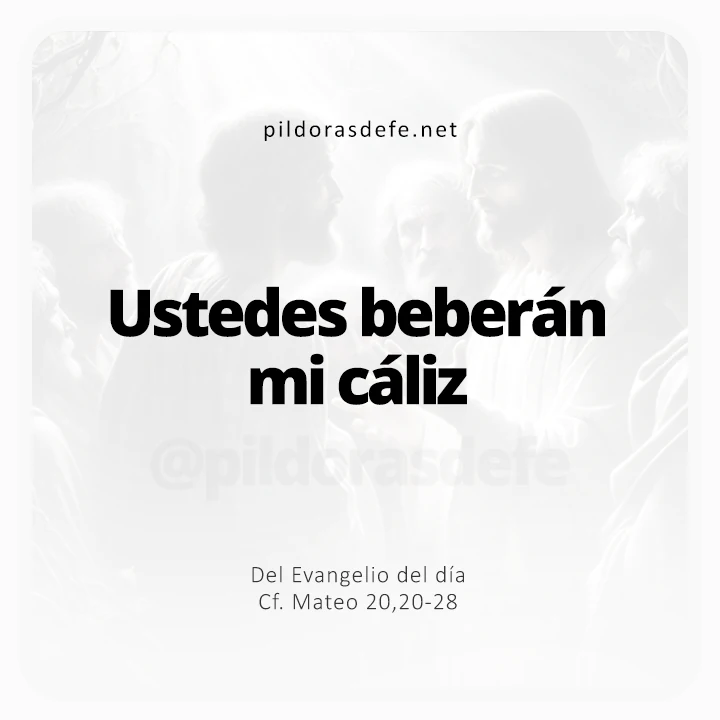 Evangelio de hoy Mateo 20,20-28: Ustedes beberán mi cáliz