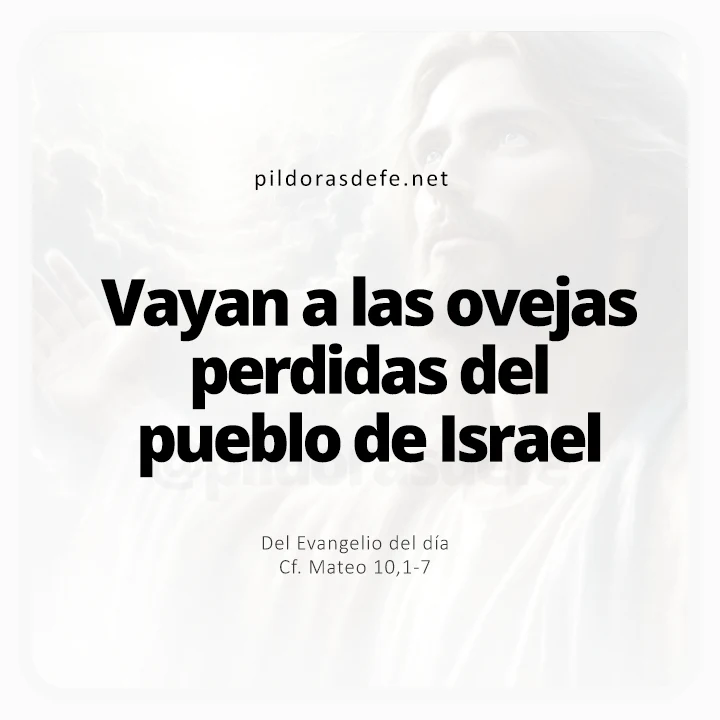 Evangelio de hoy Mateo 10,1-7: Vayan a las ovejas perdidas del pueblo de Israel