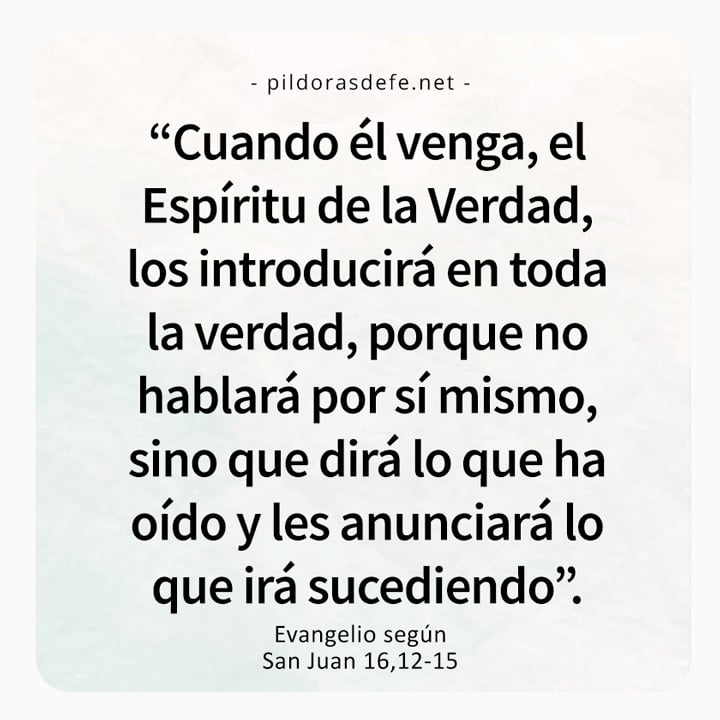 Cita bíblica del Evangelio de hoy (Juan 16,12-15): Cuando él venga, el Espíritu de la Verdad, los introducirá en la verdad