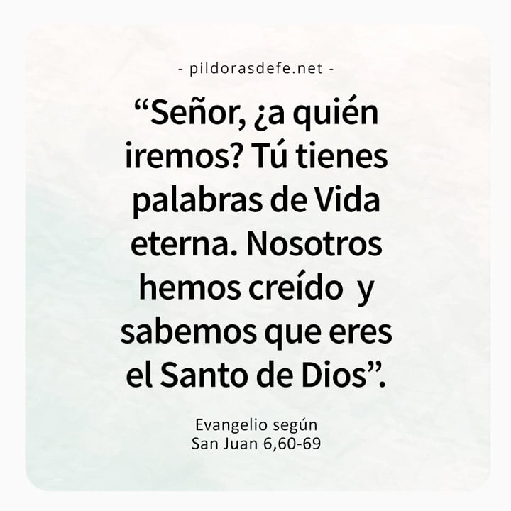 Cita bíblica del Evangelio de hoy (Juan 6,60-69): Señor, ¿a quién iremos? Tú tienes Palabras de vida eterna