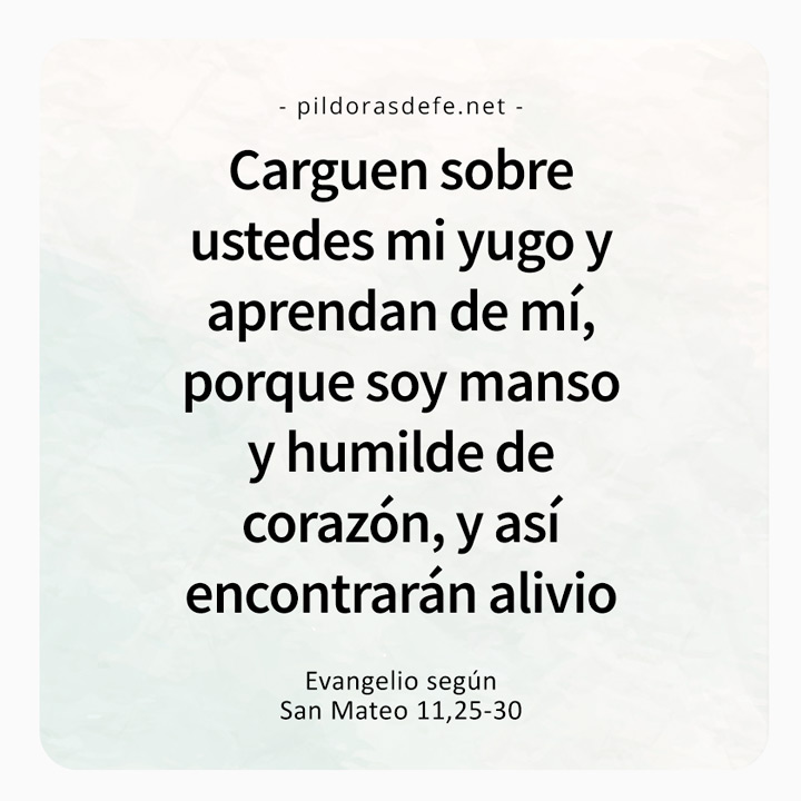 Cita bíblica del Evangelio de hoy (Mateo 11,25-30): Aprendan de mí, que soy manso y humilde corazón