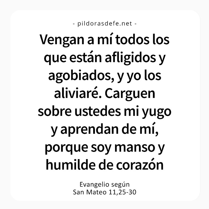 Cita bíblica del Evangelio de hoy (Mateo 11,25-30): Vengan a mí los cansados y afligidos, yo los aliviaré