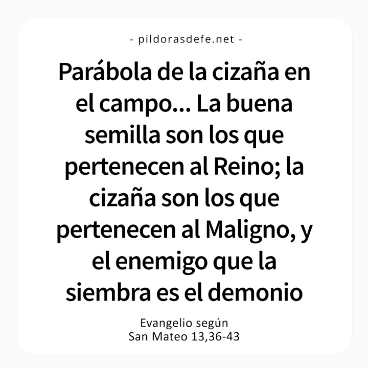 Evangelio de hoy martes Lecturas de hoy 1 de agosto, 2023