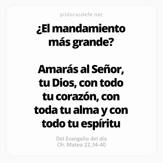 Cita bíblica Evangelio de hoy (Mateo, 22,34-40): El mandamiento más grande: Amarás al Señor, tu Dios, con todo tu corazón y todas tus fuerzas