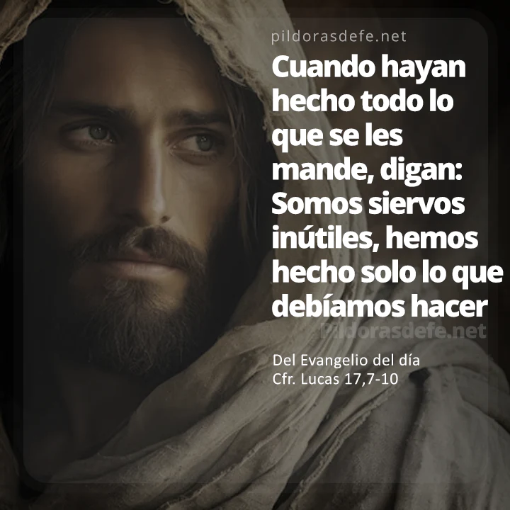 Evangelio de hoy martes Lecturas de hoy 14 de noviembre, 2023