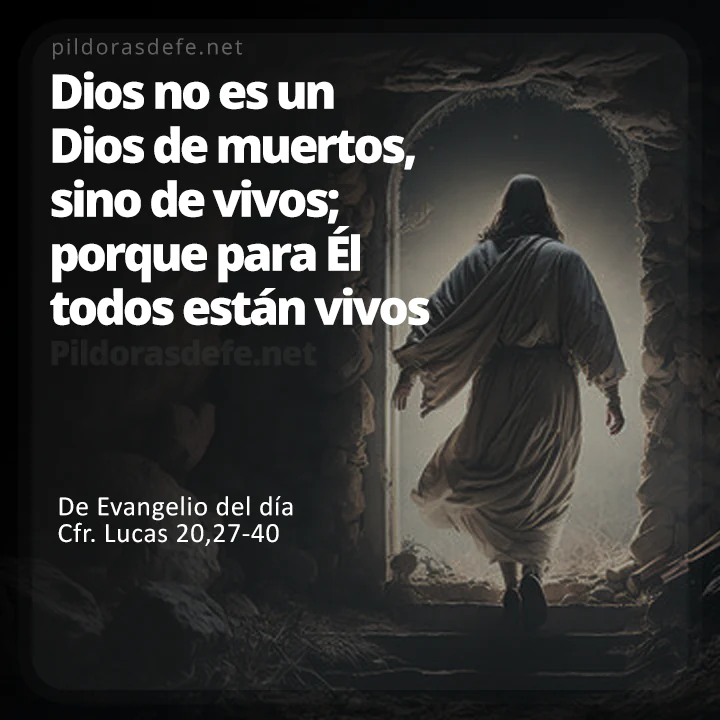 Cita bíblica Evangelio de hoy (Lucas 20,27-40): Dios no es un Dios de muertos, sino de vivos