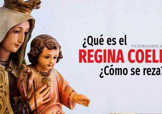 Salve Regina - ¡Hoy es su día! San Benito es Patrón de