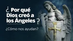 los angeles por que fueron creados como nos ayudan