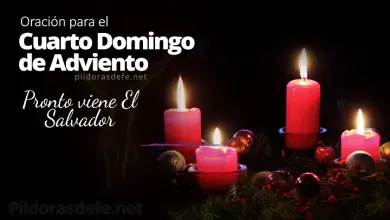 Oración del cuarto Domingo de Adviento: Ya nace el Salvador