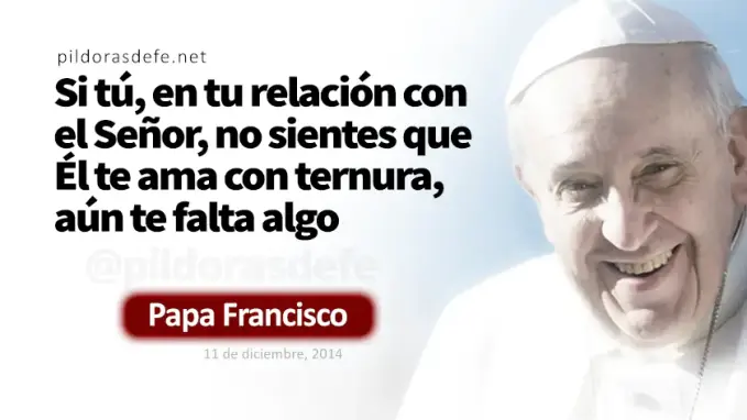 Dejan de lado el mandamiento Papa Francisco Marcos    Cita Biblica   