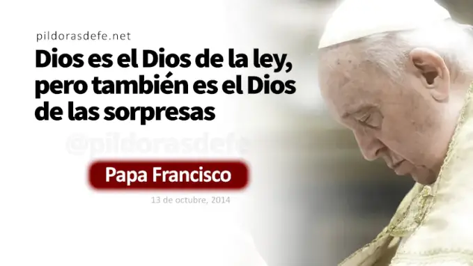 Esta generacion pide un signo Papa Francisco Marcos    Cita Biblica   