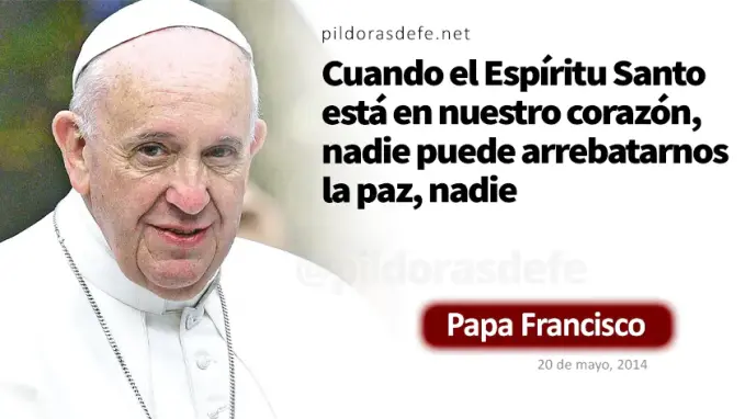 Evangelio de hoy Domingo Juan    Evangelio del dia Papa Francisco  mayo 