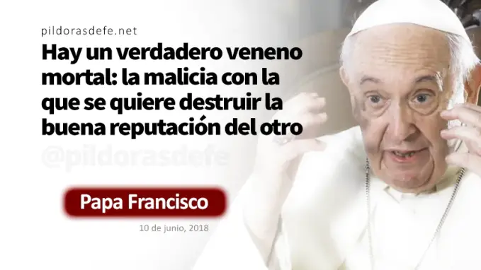 Evangelio de hoy Domingo Marcos    Evangelio del dia Papa Francisco  junio 