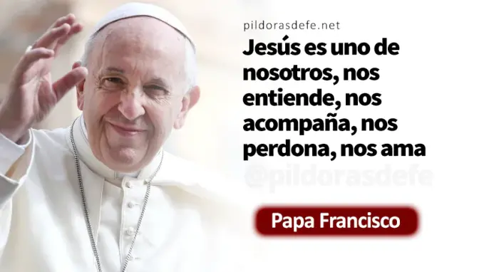 Evangelio de hoy Domingo Marcos    Un profeta es despreciado en su pueblo Papa Francisco  julio 