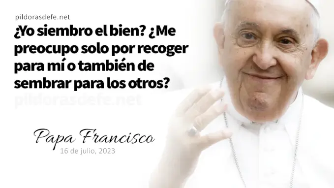 Evangelio de hoy Miercoles Marcos    Lecturas del dia Reflexion del Papa Francisco  enero 