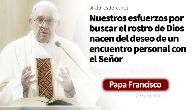 Evangelio de hoy Miercoles Mateo    Vayan a las ovejas perdidas Papa Francisco  julio 