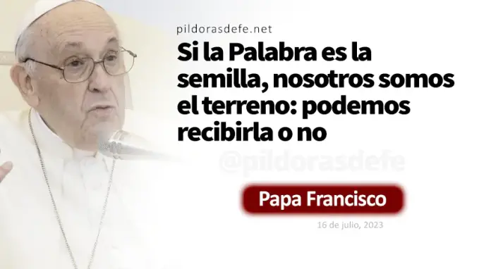 La Palabra de Dios es la semilla Papa Francisco Marcos    Cita Biblica   