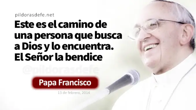 Los perros comen migajas dejan caer hijos Papa Francisco Marcos    Cita Biblica   