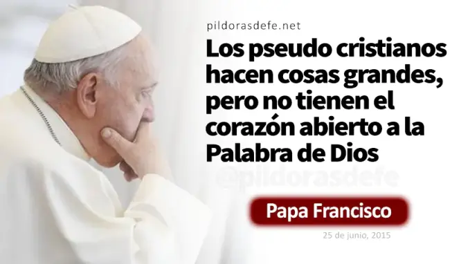 Quien cumpla la voluntad del Padre entrara al Reino Mateo     Evangelio Cita Biblica   