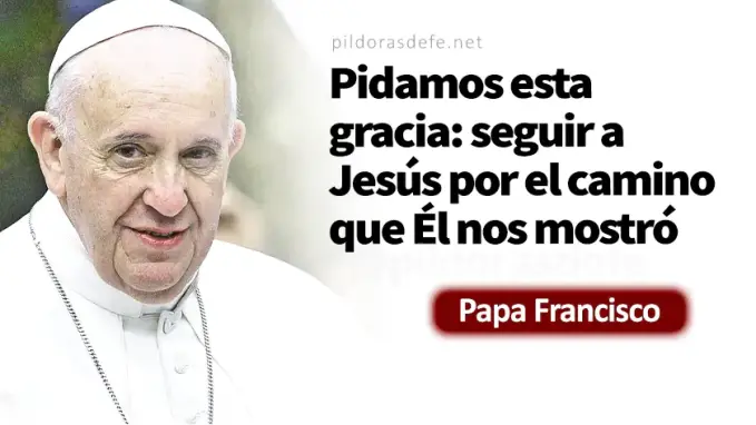 Recibira ciento por uno Papa Francisco Marcos    Cita Biblica   