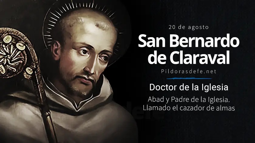 San Bernardo de Claraval, Abad: Padre y Doctor de la Iglesia