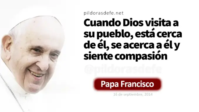 Sintio gran compasion ovejas sin pastor Papa Francisco Marcos    Cita Biblica   