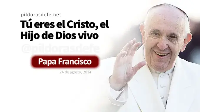 Te dare las llaves del Reino Papa Francisco Mateo    Cita Biblica   