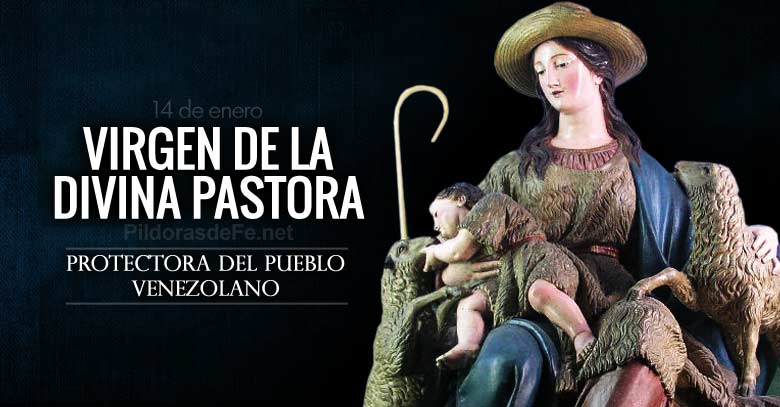 divina pastora virgen patrona de lara protectora de venezuela