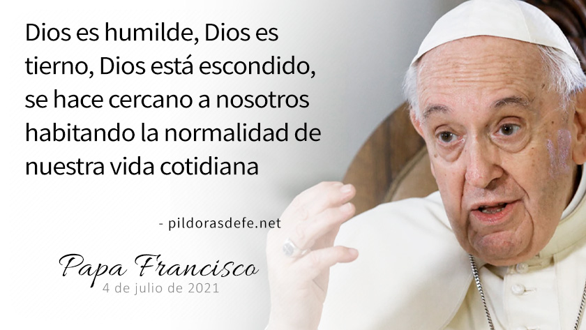 evangelio de hoy  agosto  lecturas del dia reflexion del papa francisco