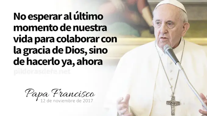 evangelio de hoy domingo  noviembre  lecturas del dia reflexion con el papa francisco