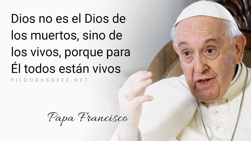 evangelio de hoy domingo  noviembre  lecturas del dia reflexion papa francisco palabra diaria