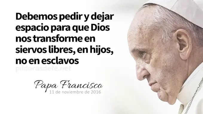 evangelio de hoy martes  noviembre  lecturas del dia reflexion con el papa francisco