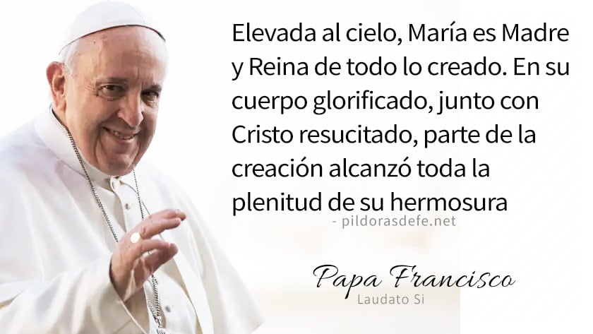 evangelio de hoy martes  agosto  lecturas del dia reflexion del papa francisco
