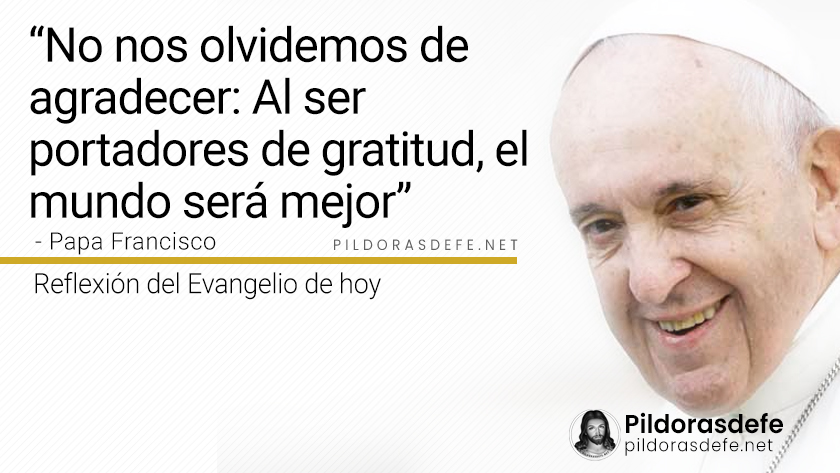 evangelio de hoy miercoles  noviembre  lecturas reflexion papa francisco palabra diaria