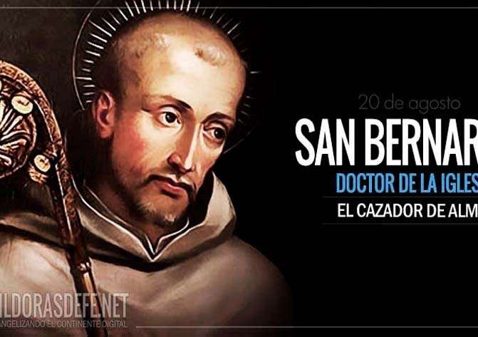 San Bernardo, Abad. Doctor de la Iglesia. El cazador de almas