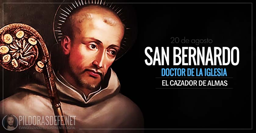 san bernardo doctor de la iglesia el cazador de almas