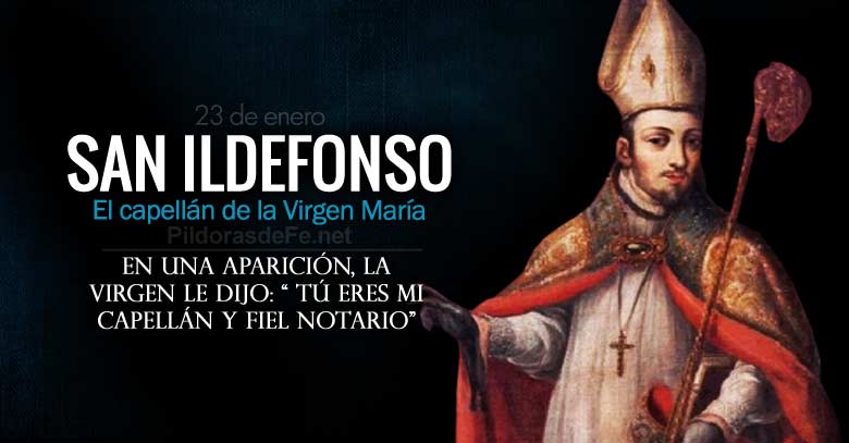 san ildefonso obispo el capellan de la virgen maria