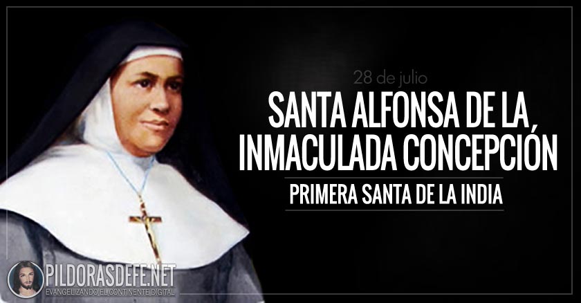 santa alfonsa de la inmaculada concepcion santa de la india