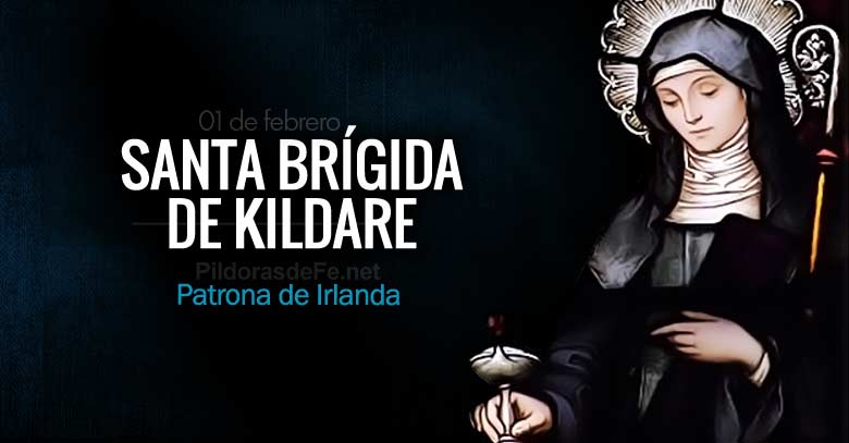 santa brigida de kildare patrona de irlanda abadesa